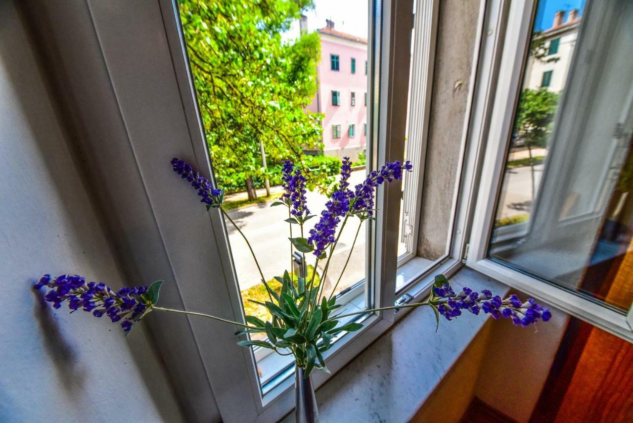 Apartment Viola Zadar Exteriör bild